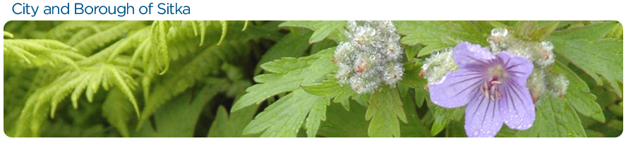Sitka Banner 2