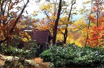 Monte Sano fall cabin