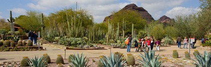 desert botanical
