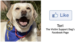 Tori, the Victim Support Dog