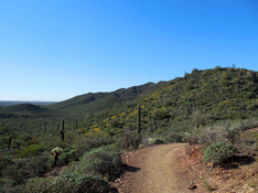 Cave Creek Go John Trail