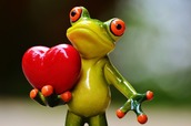 love frog