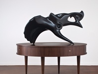 Nature In Forms Exhibit