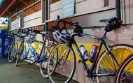 Bicycles lined up outside a store.