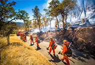 Fire restrictions image.