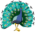 Mighty Peacock