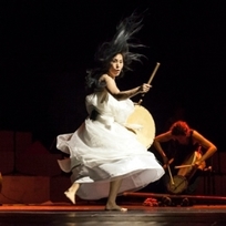 Closing for Camellia