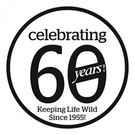 Lindsay 60th logo