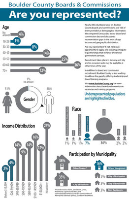 Infographic explaining the demographics of Boards & Commissions