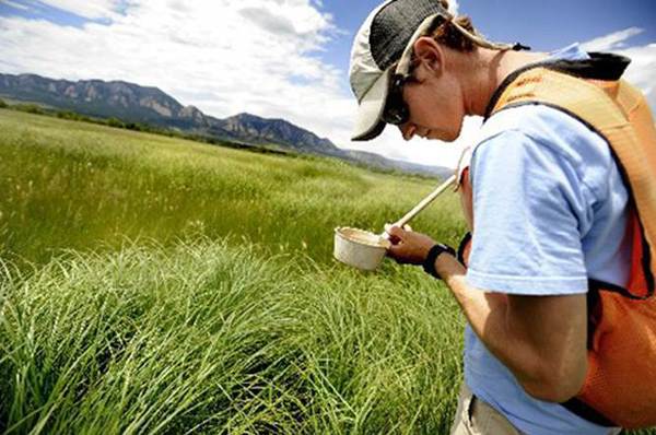 Monitoring pools of water for mosquito larvae