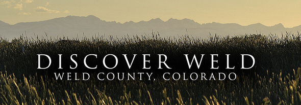 Discover Weld Newsletter