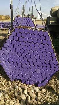 Purple Dowel Bars