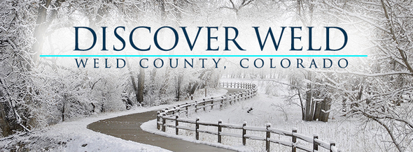 Discover Weld Newsletter Header