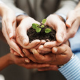 sustainability