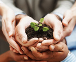 sustainability
