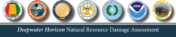 Deepwater Horizon Natural Resource Damage Assessment