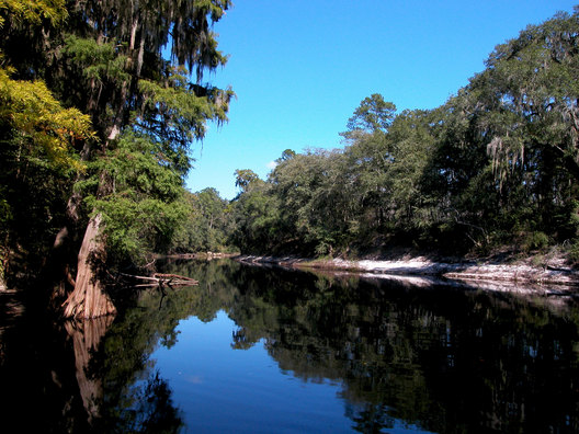 Suwannee River