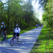 Bicyclists ride on the paved Withlacoochee State Trail.