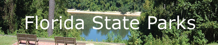 A view of the Apalachicola River from Torreya State Park.