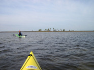 Paddlers on Apalachee Bay by Doug Alderson