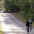 Bicyclists ride on a paved trail.