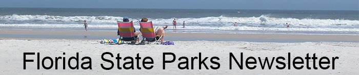 Two people sitting in chairs at the beach