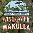 Wings Over Wakulla Poster