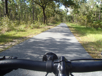 Cycling the GFA Trail in the Apalachicola National Forest by Doug Alderson