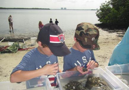 Estero Bay Wading Trip