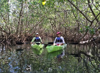 Biscayne Bay Kayak Eco Tour
