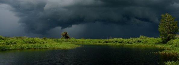 Kissimmee River State Park stormy looking sky photo by Brent Anderson