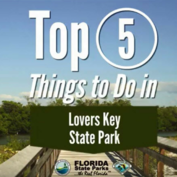 Top 5 Video Lovers Key