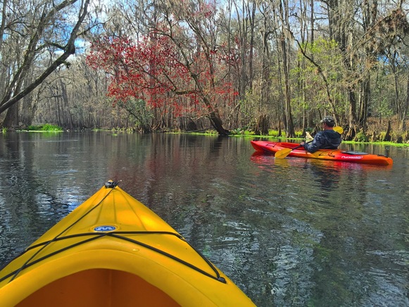Ichetucknee Kayak by Brandon Nobles