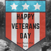 Veterans Day Graphic