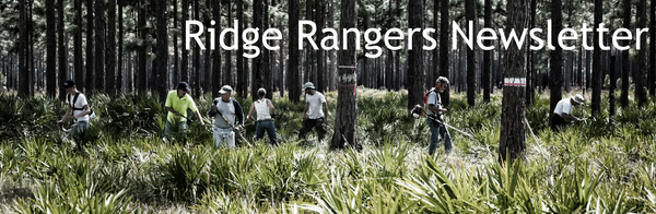 Ridge Rangers at Work