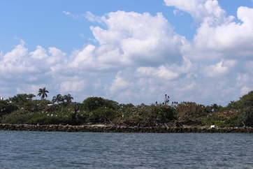 Bird Island