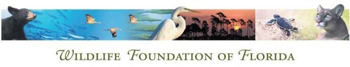 Wildlife Foundation of Florida logo