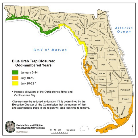 Small blue crab trap removal map