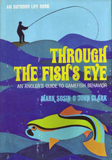 Through The Fish's Eye
