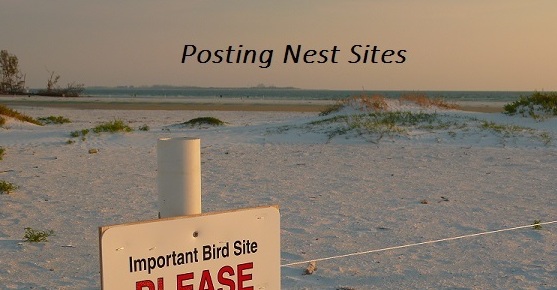 Posting Nest Sites