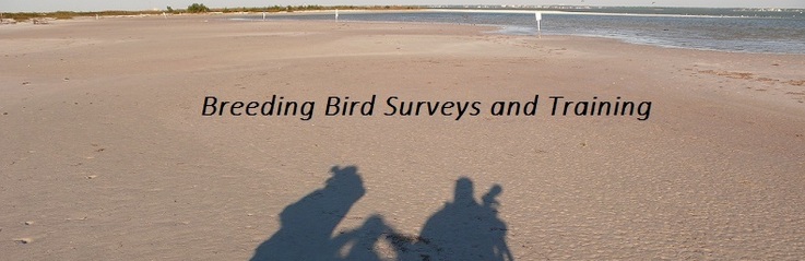 Breeding Bird Surveys and Training