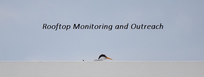 Rooftop Monitoring and Outreach