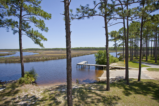 Tate's Hell WMA within Tate's Hell State Forest