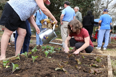 Pumpkin Place Gardeners
