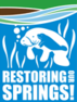 Restoring Our Springs