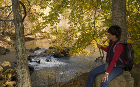 Hike at Hard Labor Creek