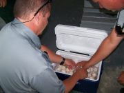 Officers with sea turtle eggs