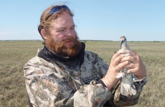 Researcher with whimbrel