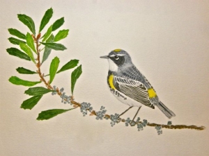 Yellow-rumped warbler painting