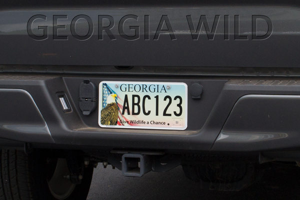 Georgia Wild masthead: new eagle license plate